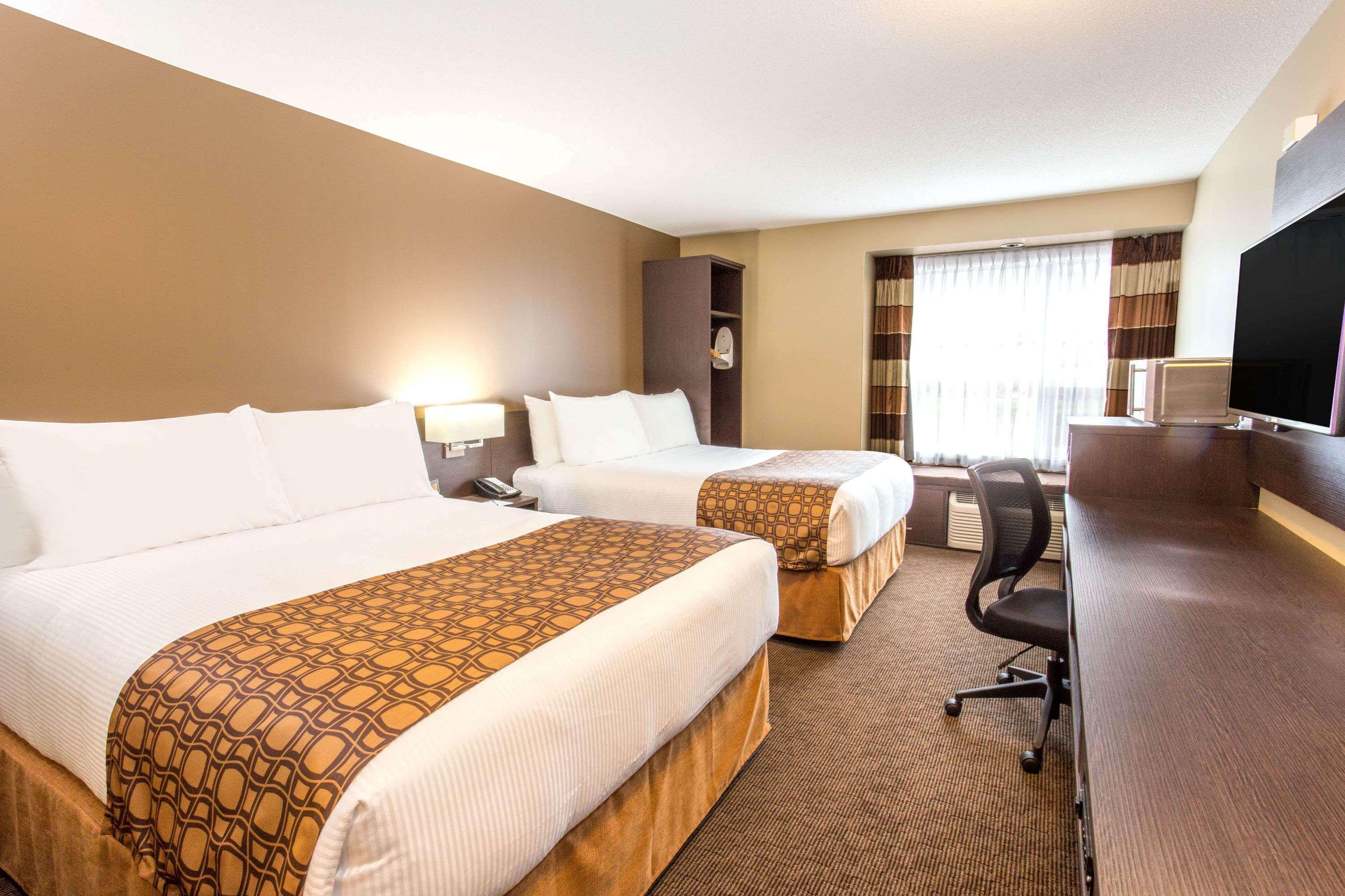 Microtel Inn & Suites By Wyndham Уайткорт Екстериор снимка
